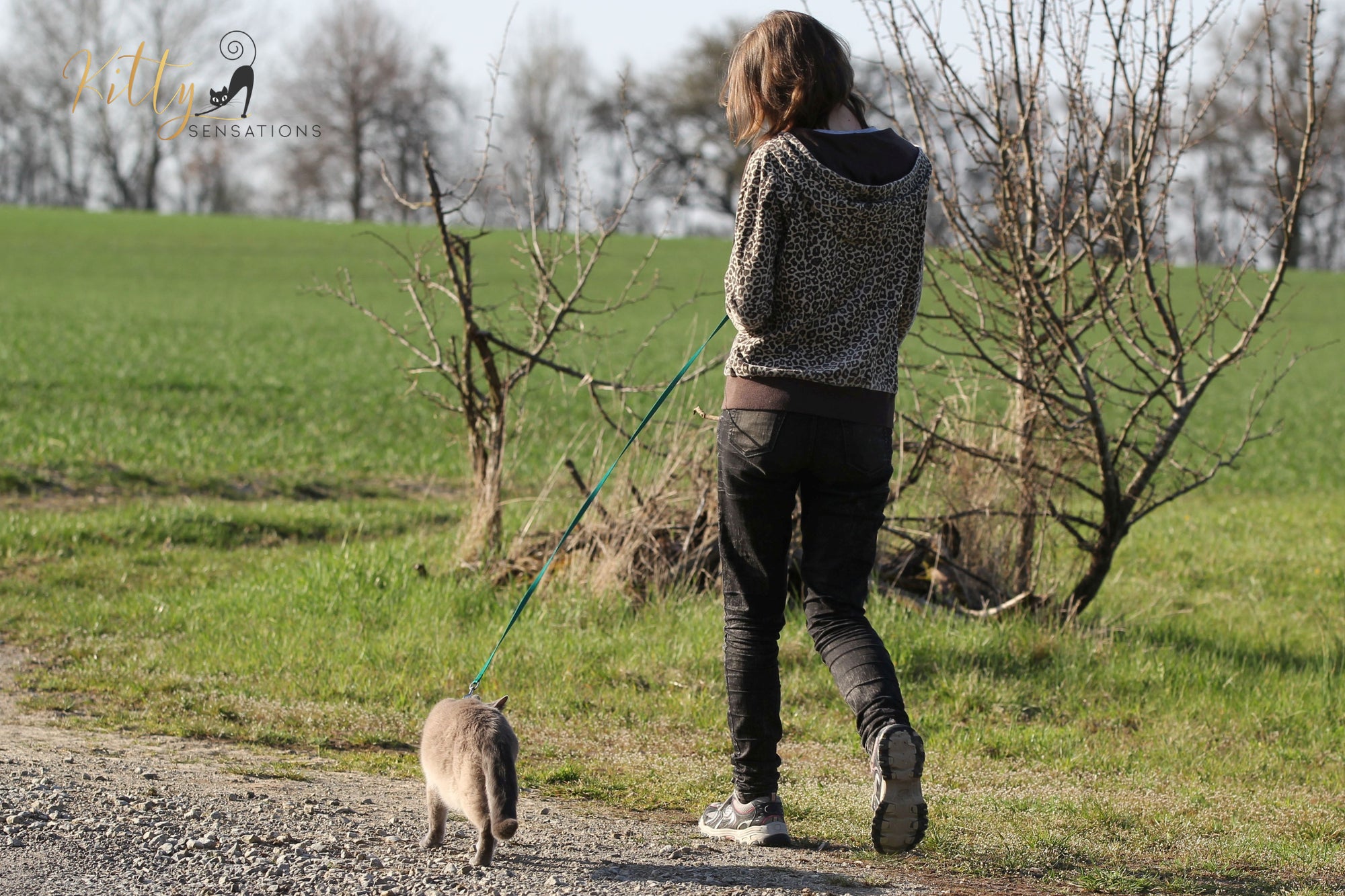 Should you Walk Your Cat Outside on a Leash? Pros and Cons of Walking Your Cat Outside on a Leash