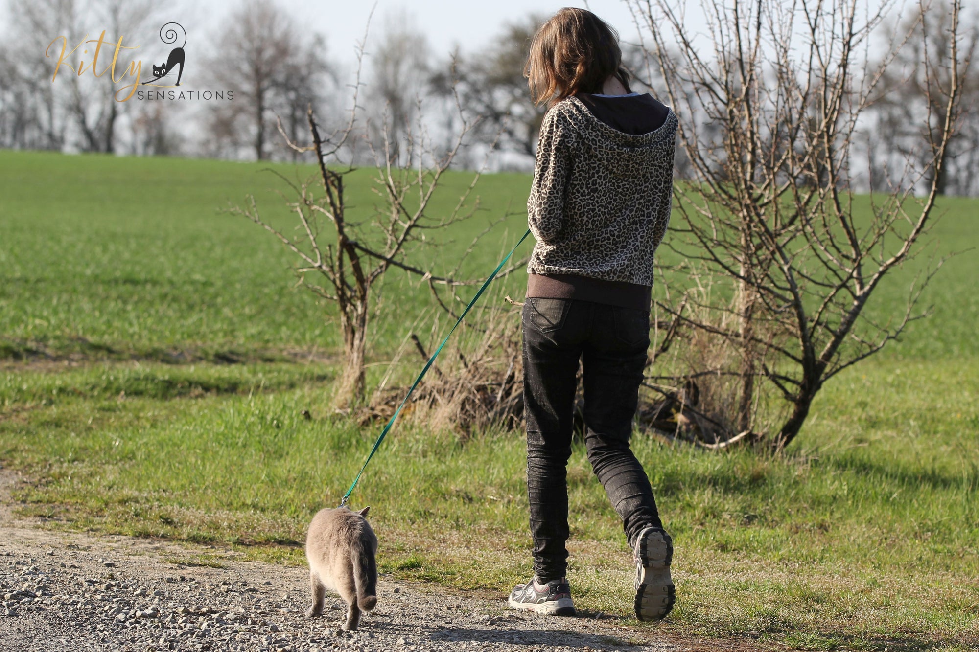 Should you Walk Your Cat Outside on a Leash? Pros and Cons of Walking Your Cat Outside on a Leash