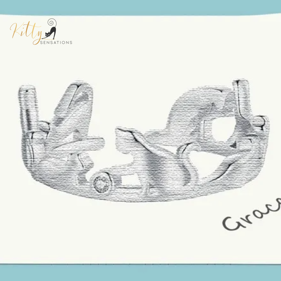 Cat Ring - Seven Healthy, Playful Cats in Solid 925 Sterling Silver - Platinum Plated, Playing with Cubic Zirconia (CZ) Balls (Adjustable Size) ($51.20)