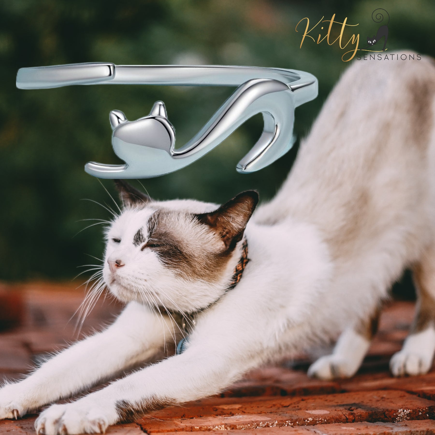 www.KittySensations.com: Elegant Cat Ring In Solid 925 Sterling Silver (Silver, Gold, or Black Gold Finish) ($44.52): https://www.kittysensations.com/products/copy-of-elegant-cat-ring-in-solid-925-sterling-silver