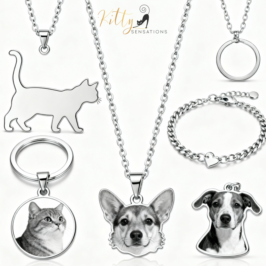 Collection of pet-themed jewelry including necklaces, keychains, and bracelets with cat and dog designs.
