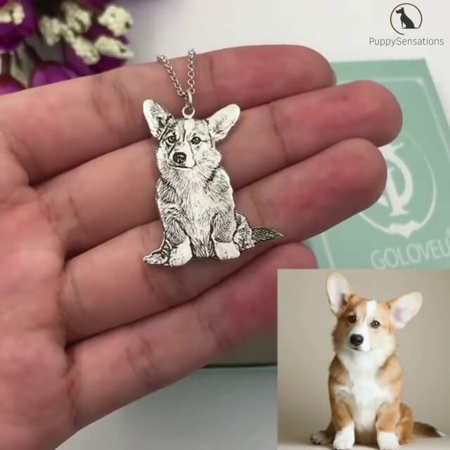 Personalized Dog Necklace with Engraving in Solid 925 Sterling Silver or Gold/Rose Gold plated Titanium - Your Choice ($59.95)