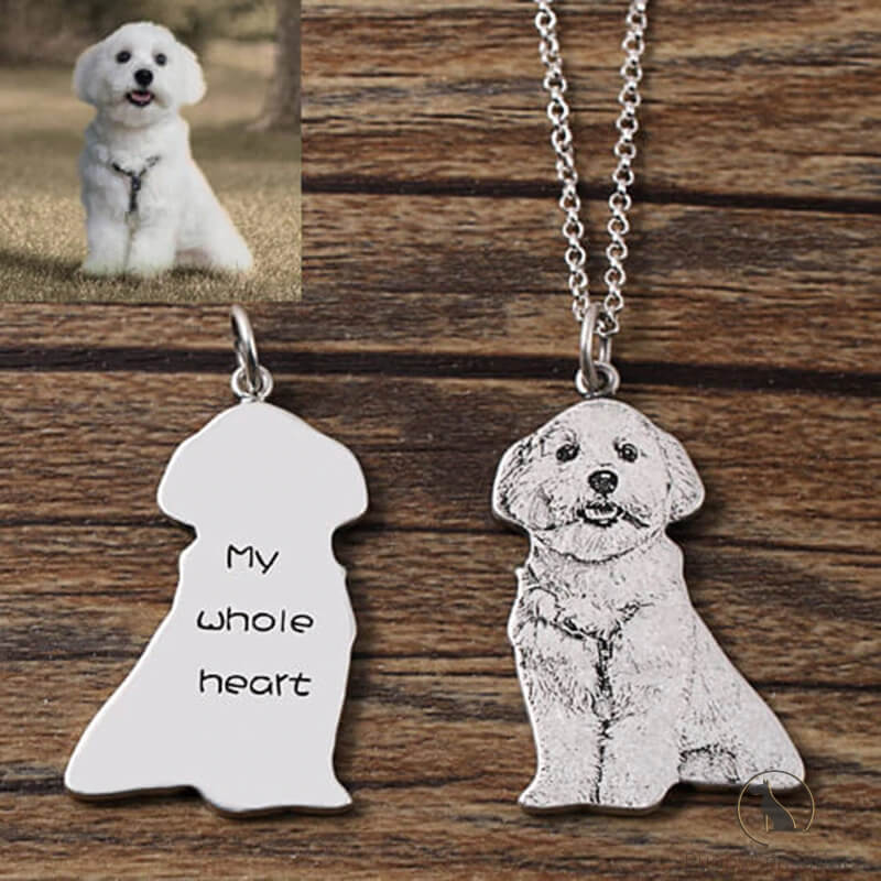 Personalized Dog Necklace with Engraving in Solid 925 Sterling Silver or Gold/Rose Gold plated Titanium - Your Choice ($59.95)