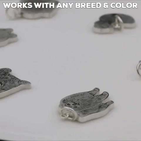 Personalized Dog Necklace with Engraving in Solid 925 Sterling Silver or Gold/Rose Gold plated Titanium - Your Choice ($59.95)