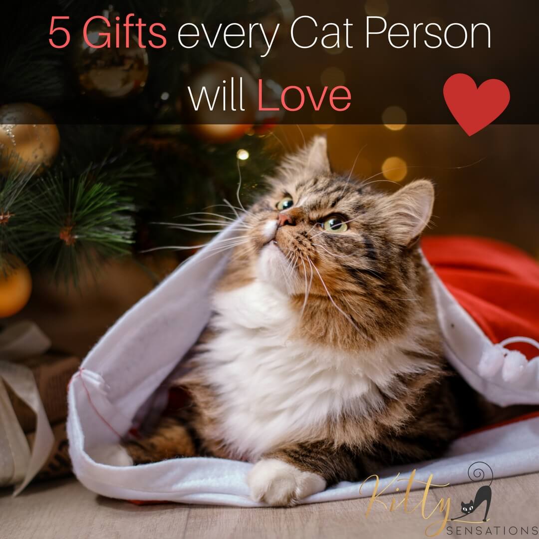 5 Gifts Every Cat Person Will Love for Christmas