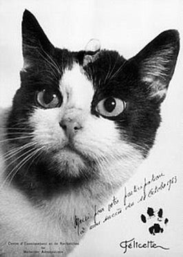 Félicette: The Street Cat Astronaut