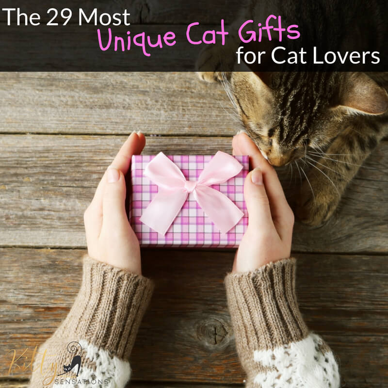 The 29 Most Unique Cat Gifts For Cat Lovers