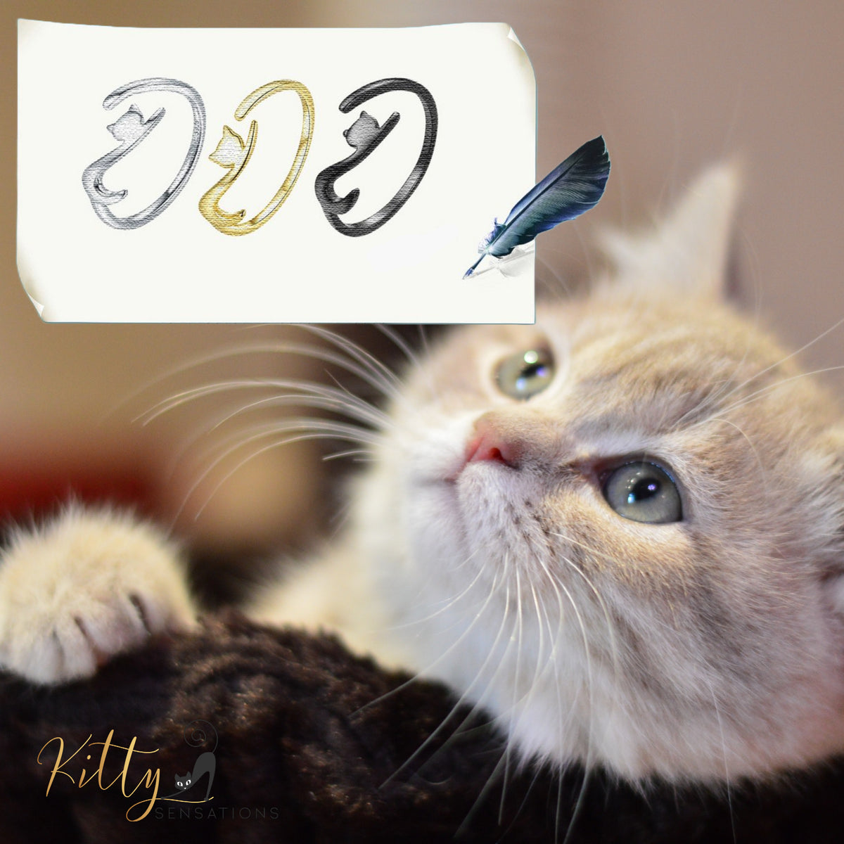 www.KittySensations.com: Elegant Cat Ring In Solid 925 Sterling Silver (Silver, Gold, or Black Gold Finish) ($44.52): https://www.kittysensations.com/products/copy-of-elegant-cat-ring-in-solid-925-sterling-silver