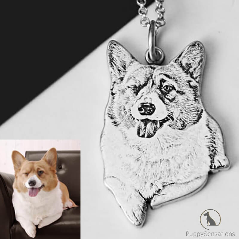 Personalized Dog Necklace with Engraving in Solid 925 Sterling Silver or Gold/Rose Gold plated Titanium - Your Choice