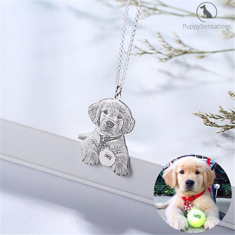 Personalized Dog Necklace with Engraving in Solid 925 Sterling Silver or Gold/Rose Gold plated Titanium - Your Choice